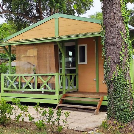 Casa Di Marina - Chalet Bungalow Hotell Sorbo-Ocagnano Exteriör bild